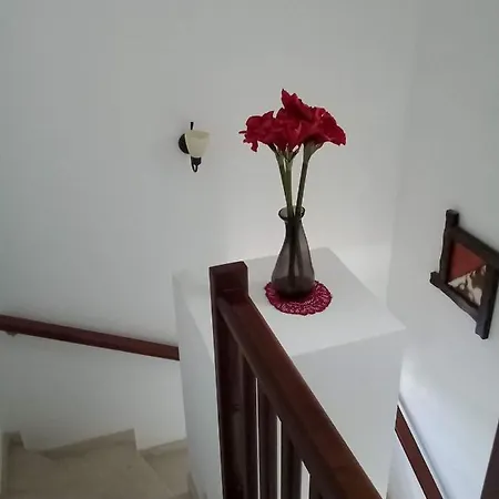 Casa De Paz Villa Playa Blanca (Lanzarote)